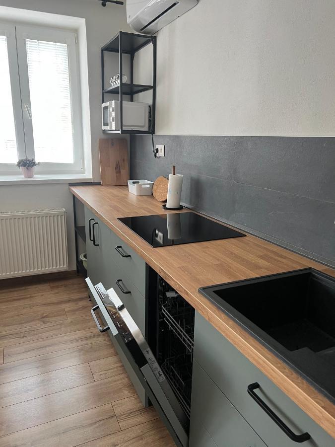 Elegantny Byt V Srdci Mesta Trenčín Екстериор снимка